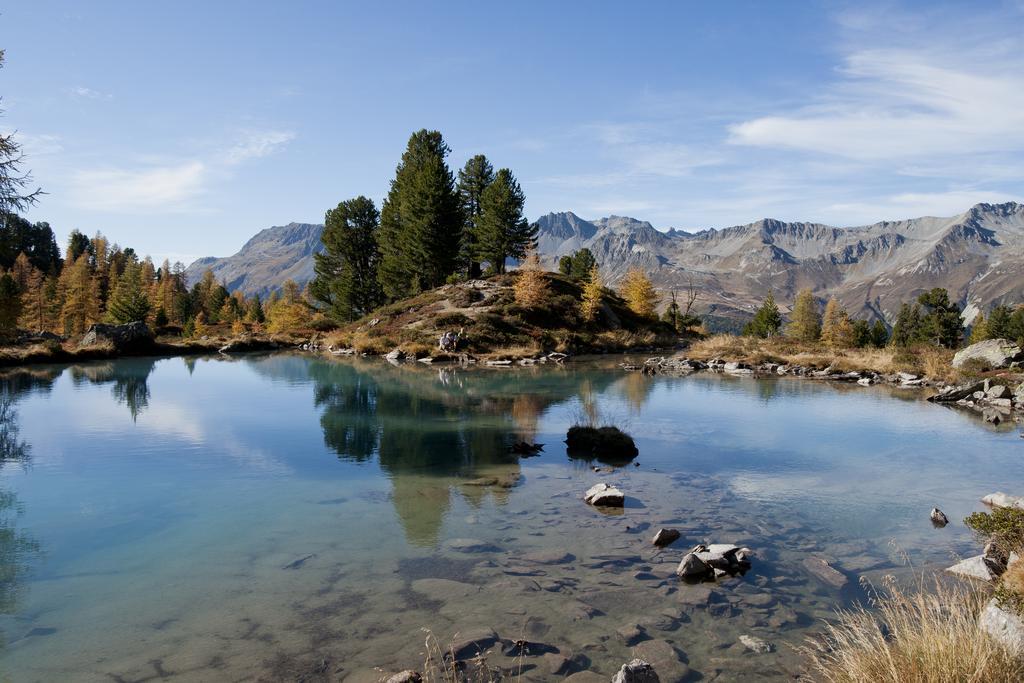 Bed & Breakfast Alp Larain